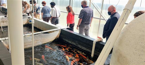 aquaculture aquaculture